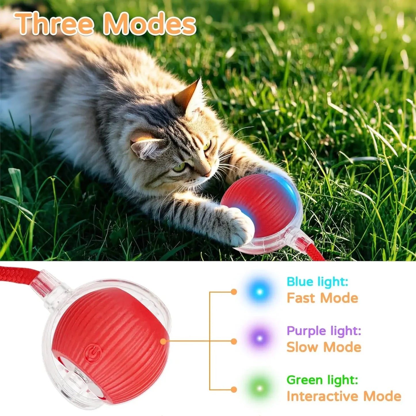 Dog Cat Interactive Ball Toy