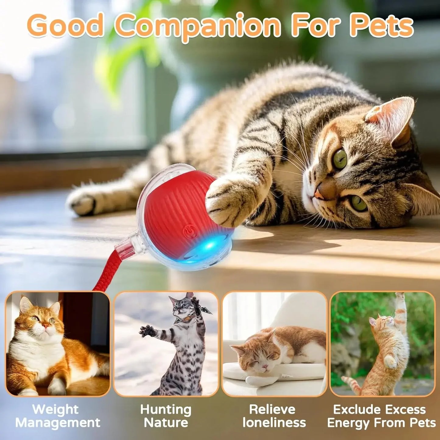 Dog Cat Interactive Ball Toy