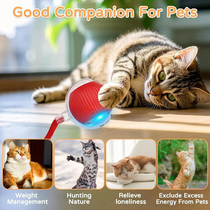 Dog Cat Interactive Ball Toy