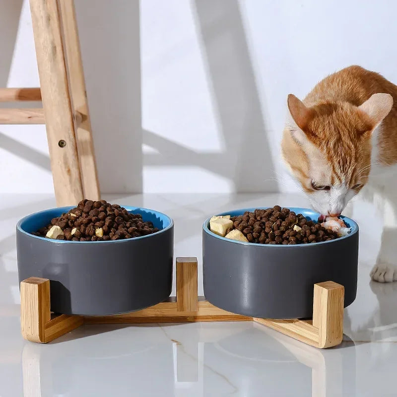 Self Assembly Ceramic Double Cat