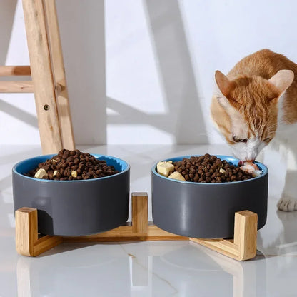 Self Assembly Ceramic Double Cat