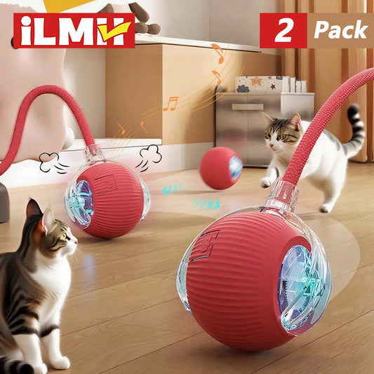 Dog Cat Interactive Ball Toy