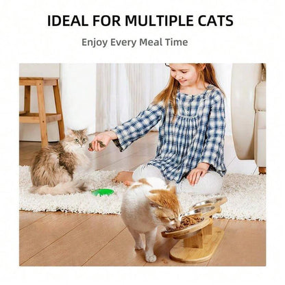 Cat Bowls Feeder Feeding Watering