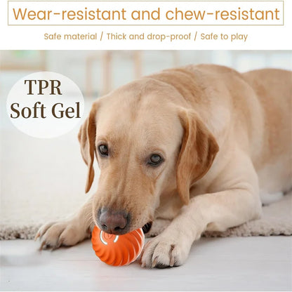 Smart Dog Toy Ball Electronic
