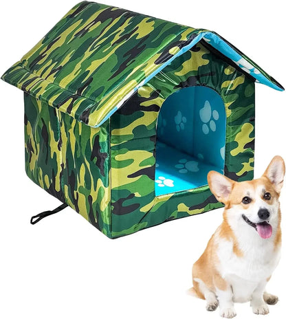 Stray Cat Bed Outdoor Rain