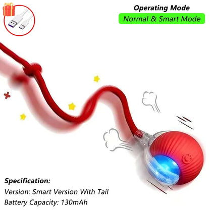 Dog Cat Interactive Ball Toy