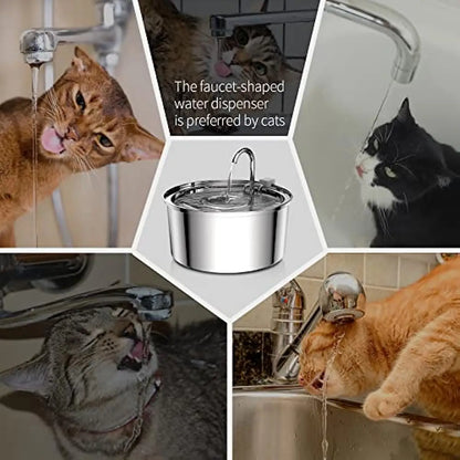 Stainless Steel Pet Water Fountain