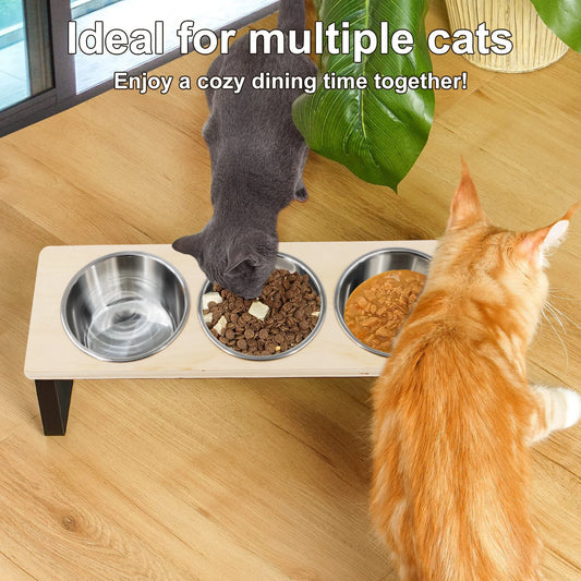 Elevated Cat Bowls Feeder Tilted