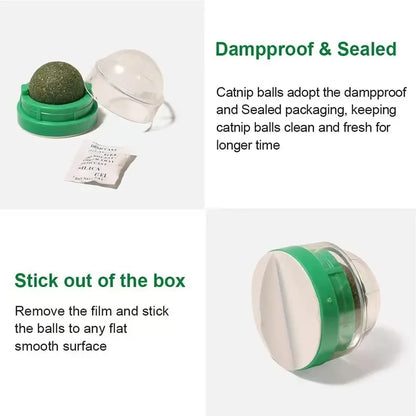 Catnip Cat Wall Stick Ball