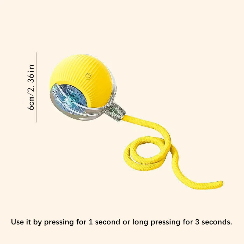 Smart Dog Toy Ball Electronic