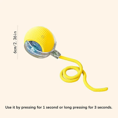 Smart Dog Toy Ball Electronic
