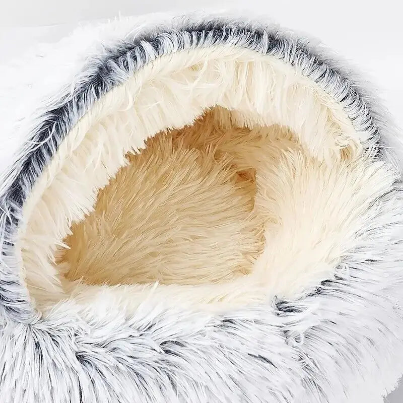 Pet Dog Round Plush Kitten
