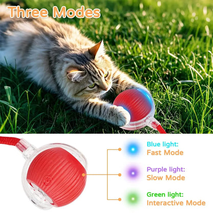 Dog Cat Interactive Ball Toy