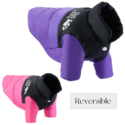 Warm Dog Clothes Winter For