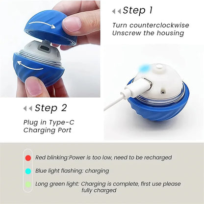 Smart Dog Toy Ball Electronic