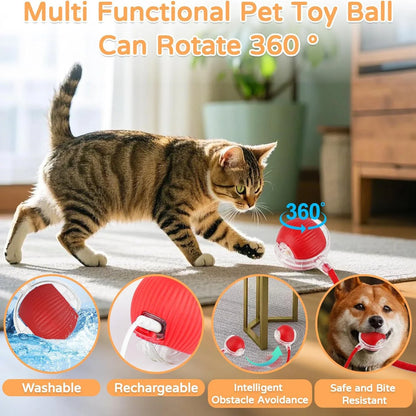 Dog Cat Interactive Ball Toy
